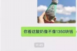 惠东为什么选择专业追讨公司来处理您的债务纠纷？